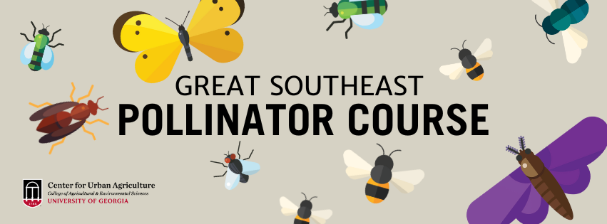 Register for the Great Southeast Pollinator Course on Eventbrite