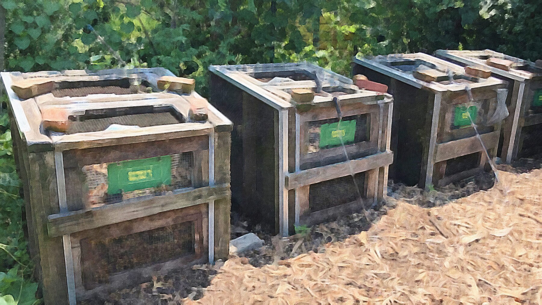 Three wooden compost bins lined up on mulched ground with green trees in the background