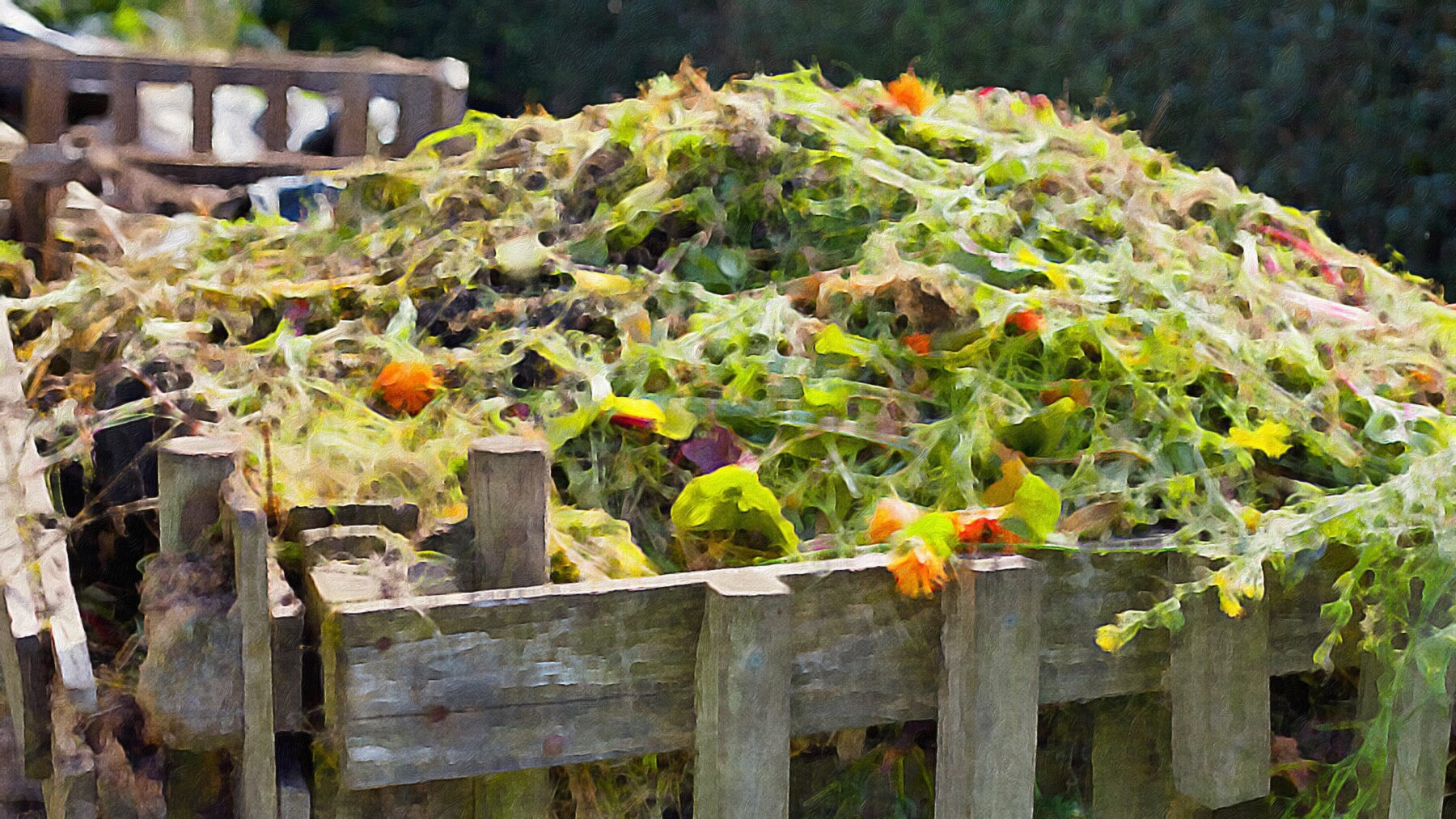 A wooden compost bin filled with fresh green plant material, flowers, and vegetable matter piled above the rim