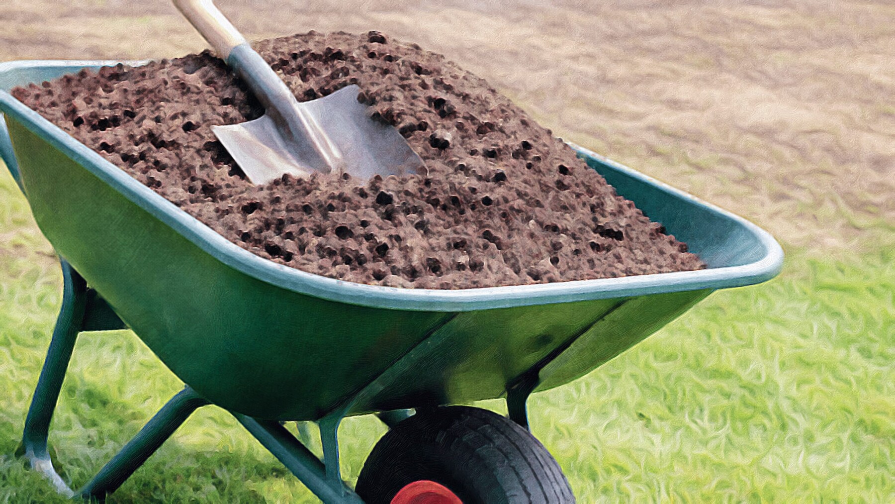 A green wheelbarrow full of dark, crumbly finished compost with a metal shovel resting on top, sitting on a green lawn